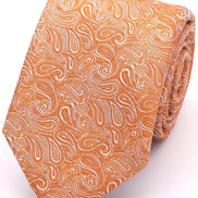 Warm Spice Paisley Tie Set