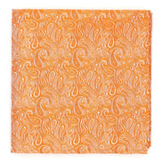 Warm Spice Paisley Tie Set