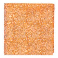 Warm Spice Paisley Tie Set